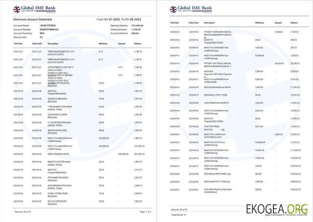 Modèle Word et PDF de relevé de compte India Global Ime Bank, 2 pages
